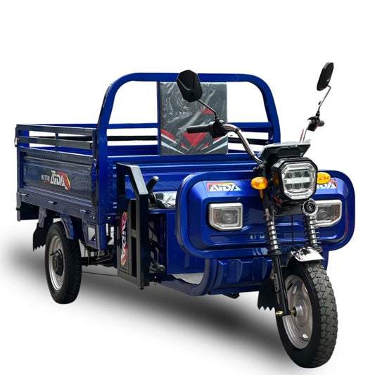 Triciclo Aida Duty 800-1000kg
