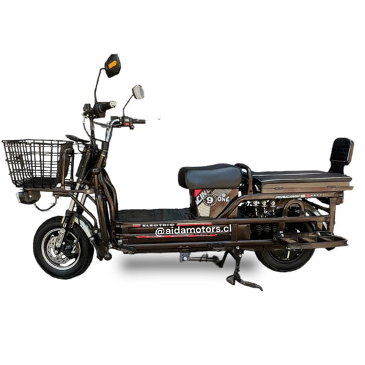 Motocicleta de carga 300kg