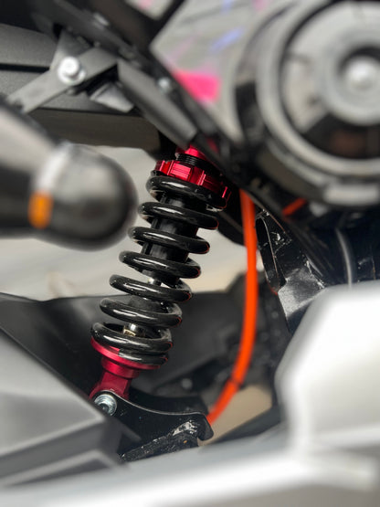 MOTO ELÉCTRICA MODELO VENOM