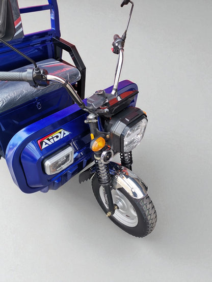 Triciclo Aida Duty 800-1000kg