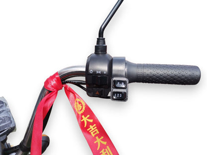Triciclo de Carga Eléctrico Pro 600kg